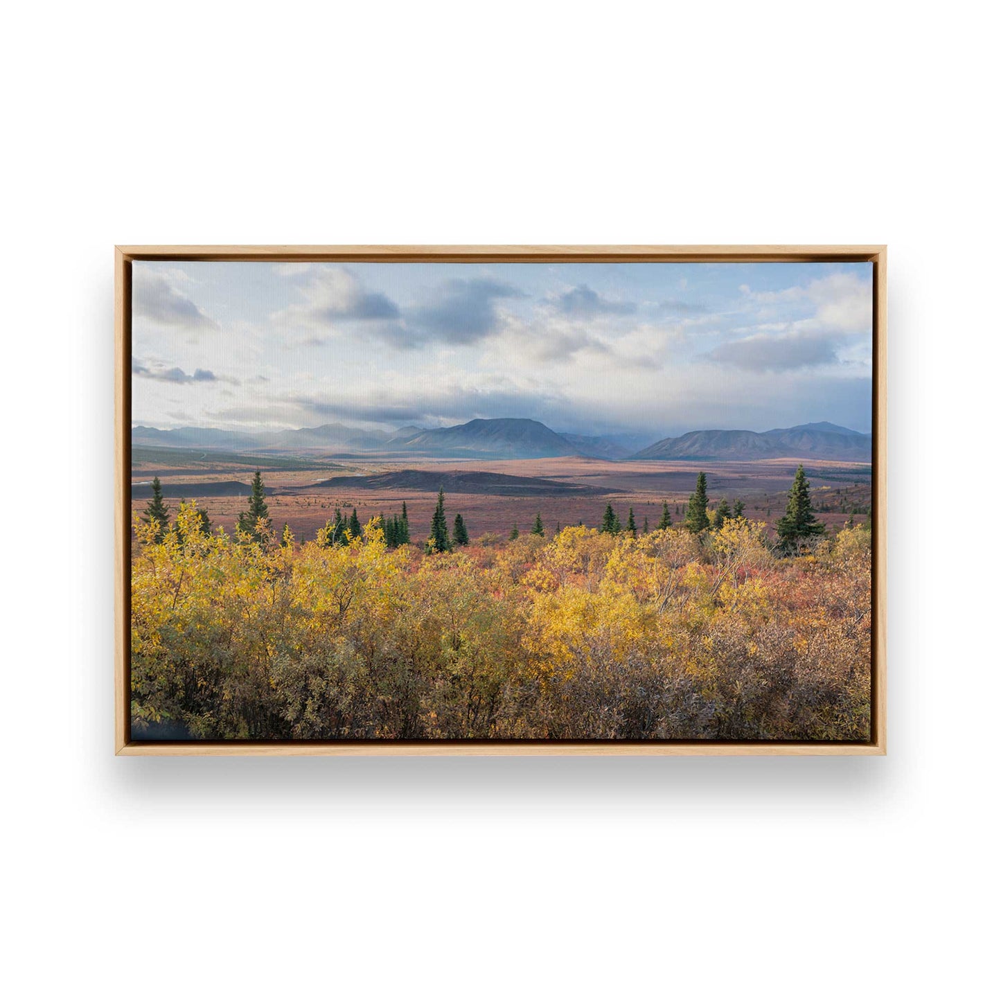 [Color:American Maple], Picture of art in a American Maple frame