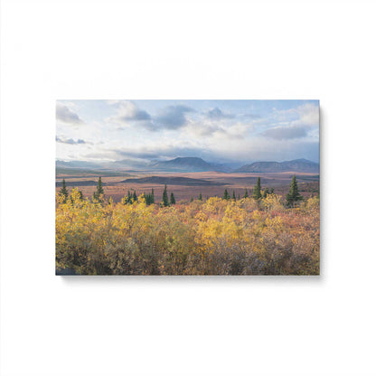 [Color:Stretched Canvas], Picture of art