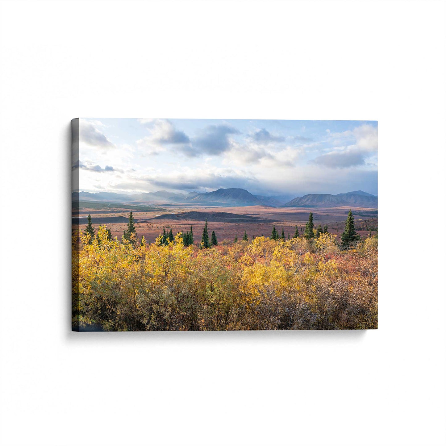 [Color:Stretched Canvas], Picture of art at an angle