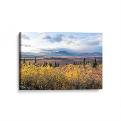 [Color:Stretched Canvas], Picture of art at an angle