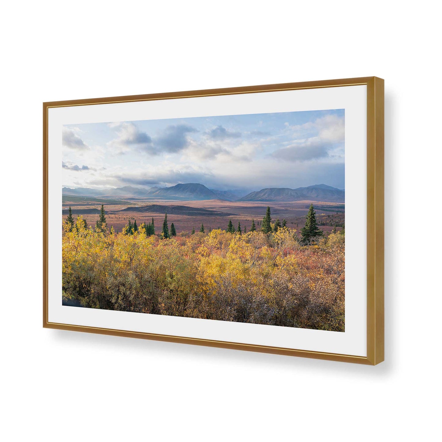 [Color:Polished Gold], Picture of art in a Polished Gold frame of the corner