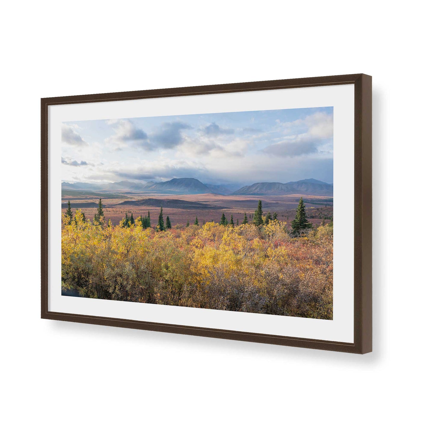 [Color:Belvinder Brown], Picture of art in a Belvinder Brown frame of the corner