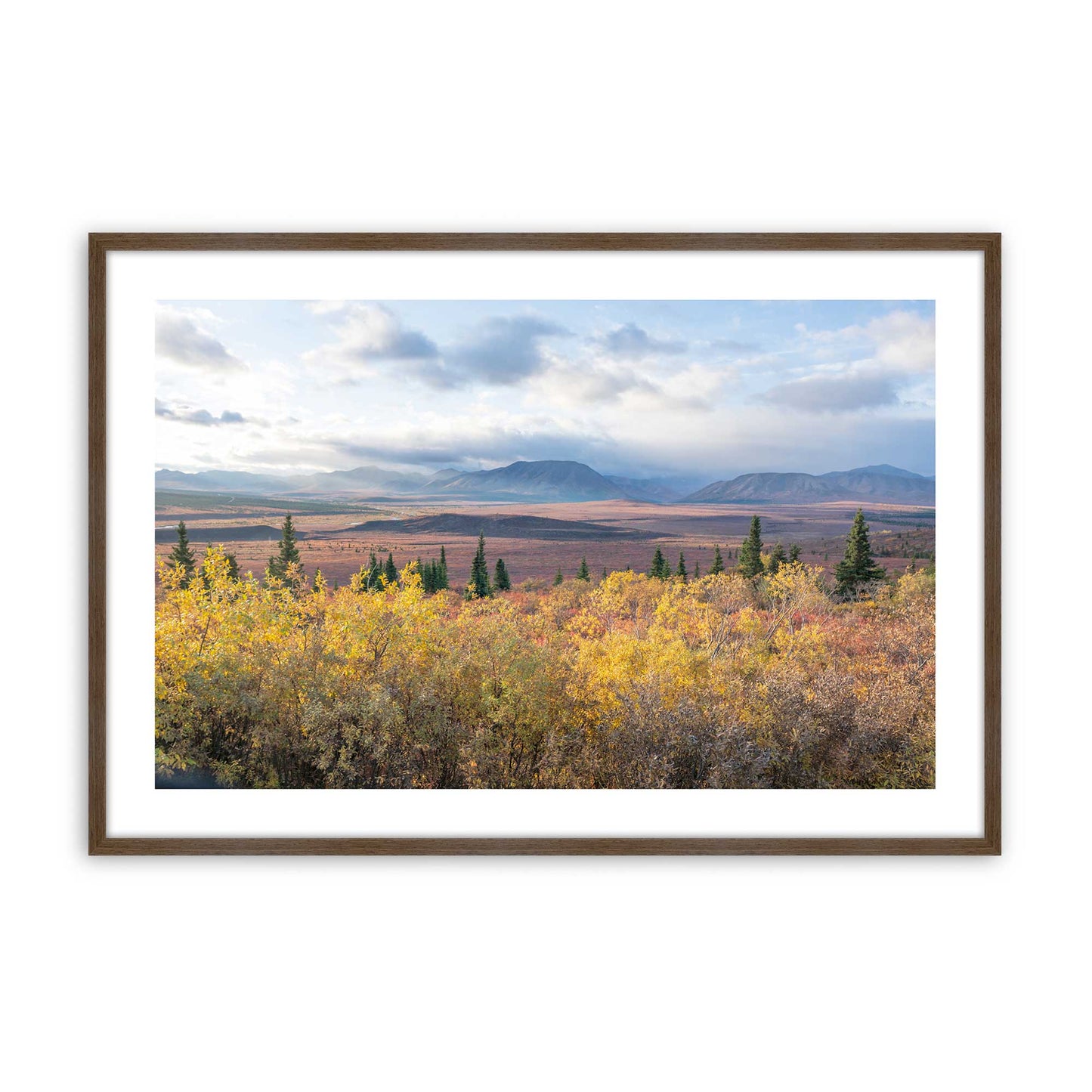 [Color:Walnut], Picture of art in a Walnut frame
