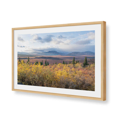 [Color:American Maple], Picture of art in a American Maple frame of the corner