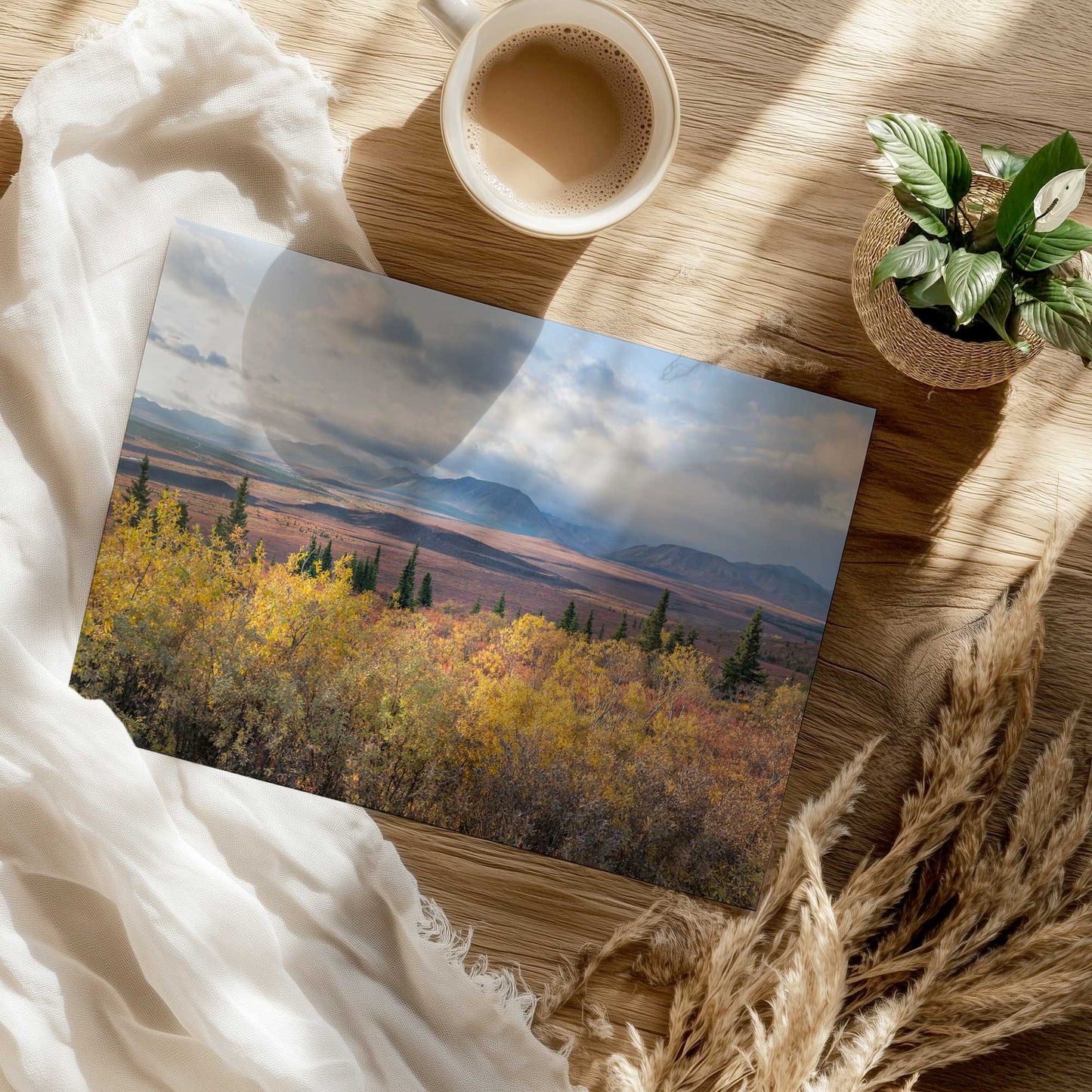 [Color:Rolled Print], Picture of close up of art