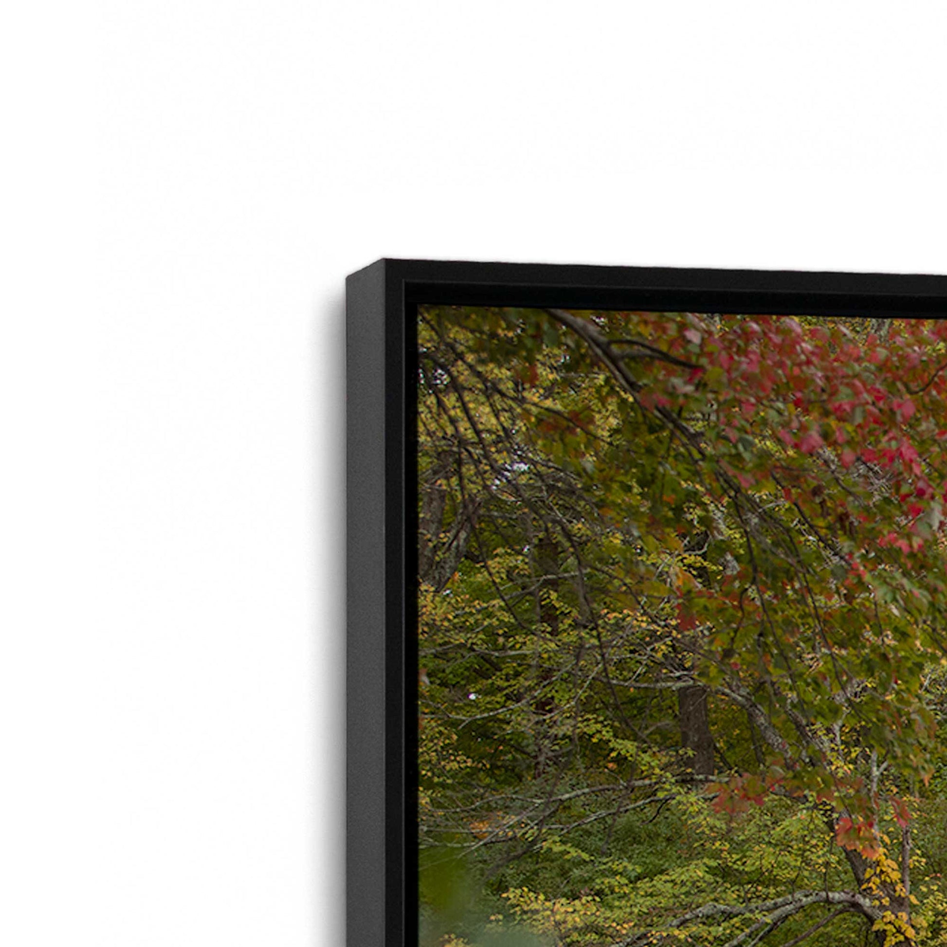 [Color:Satin Black], Picture of art in a Satin Black frame at an angle
