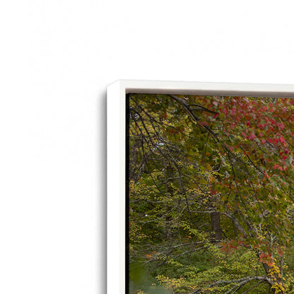 [Color:Opaque White], Picture of art in a White frame at an angle