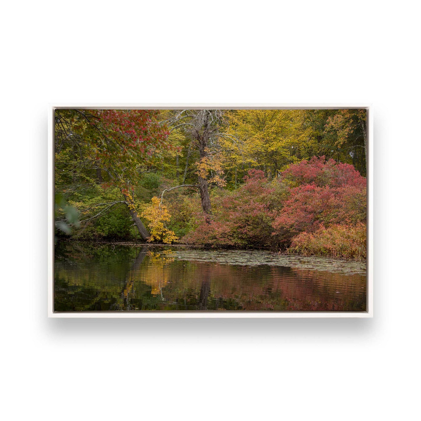 [Color:Opaque White], Picture of art in a White frame