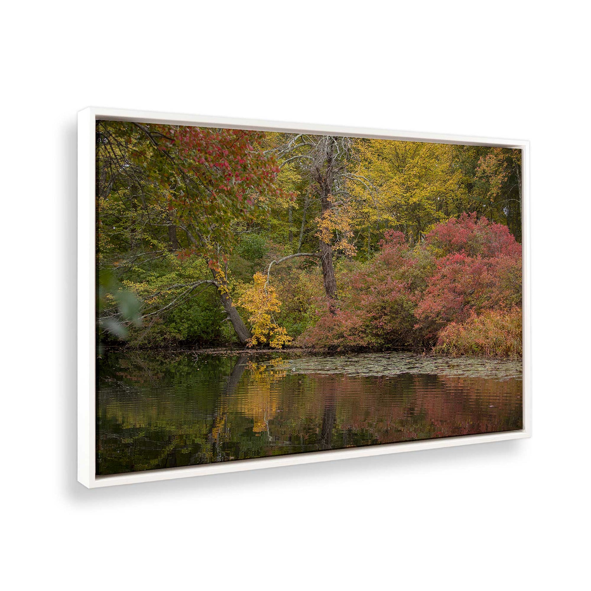 [Color:Opaque White], Picture of the corner of the art