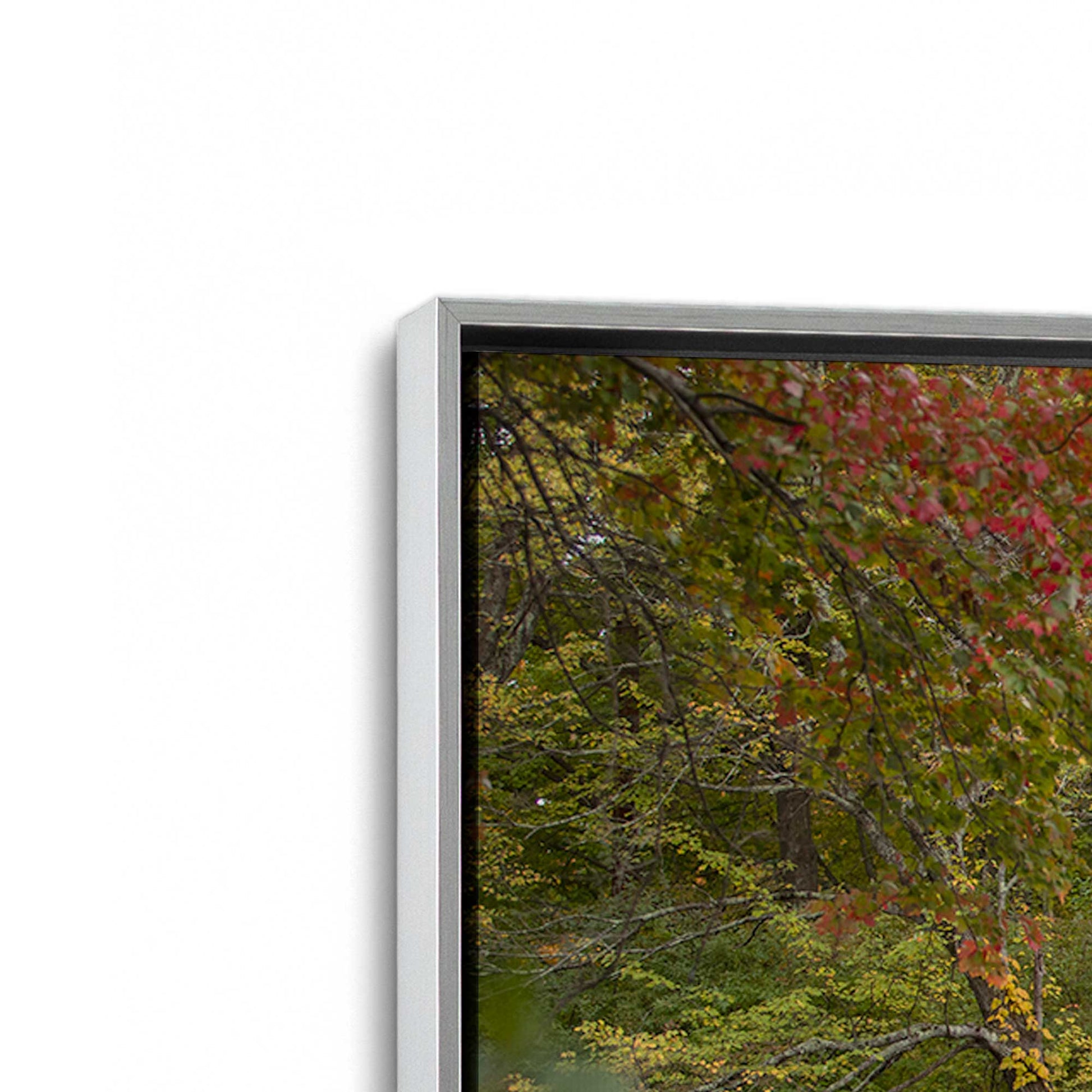 [Color:Polished Chrome], Picture of art in a Polished Chrome frame at an angle
