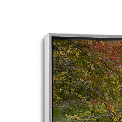 [Color:Polished Chrome], Picture of art in a Polished Chrome frame at an angle