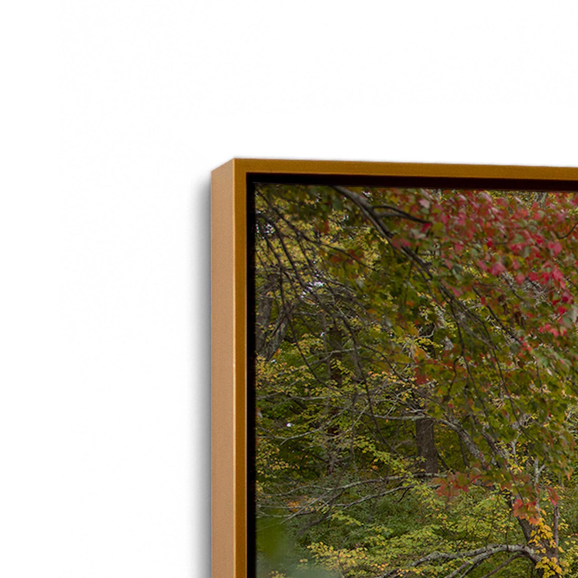 [Color:Polished Gold], Picture of art in a Polished Gold frame at an angle