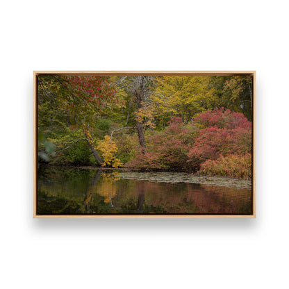 [Color:American Maple], Picture of art in a American Maple frame