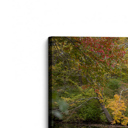 [Color:Stretched Canvas], Picture of the corner of the art