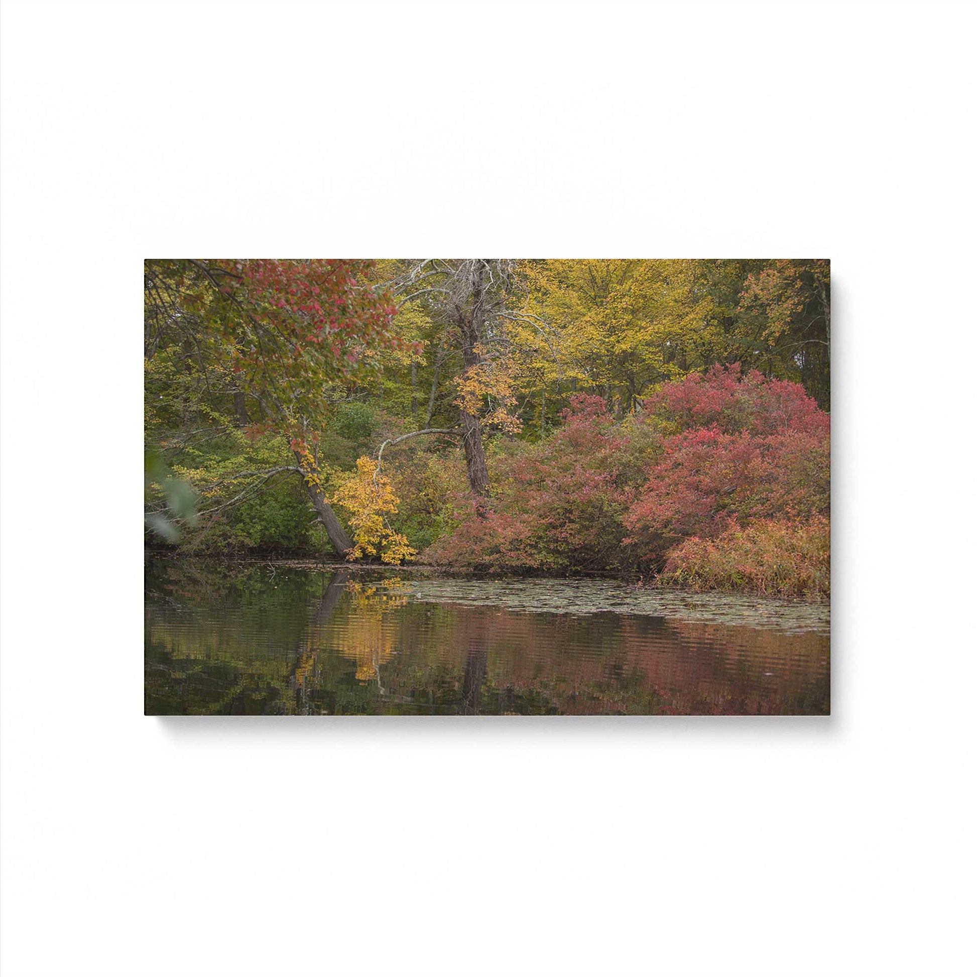 [Color:Stretched Canvas], Picture of art