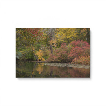 [Color:Stretched Canvas], Picture of art