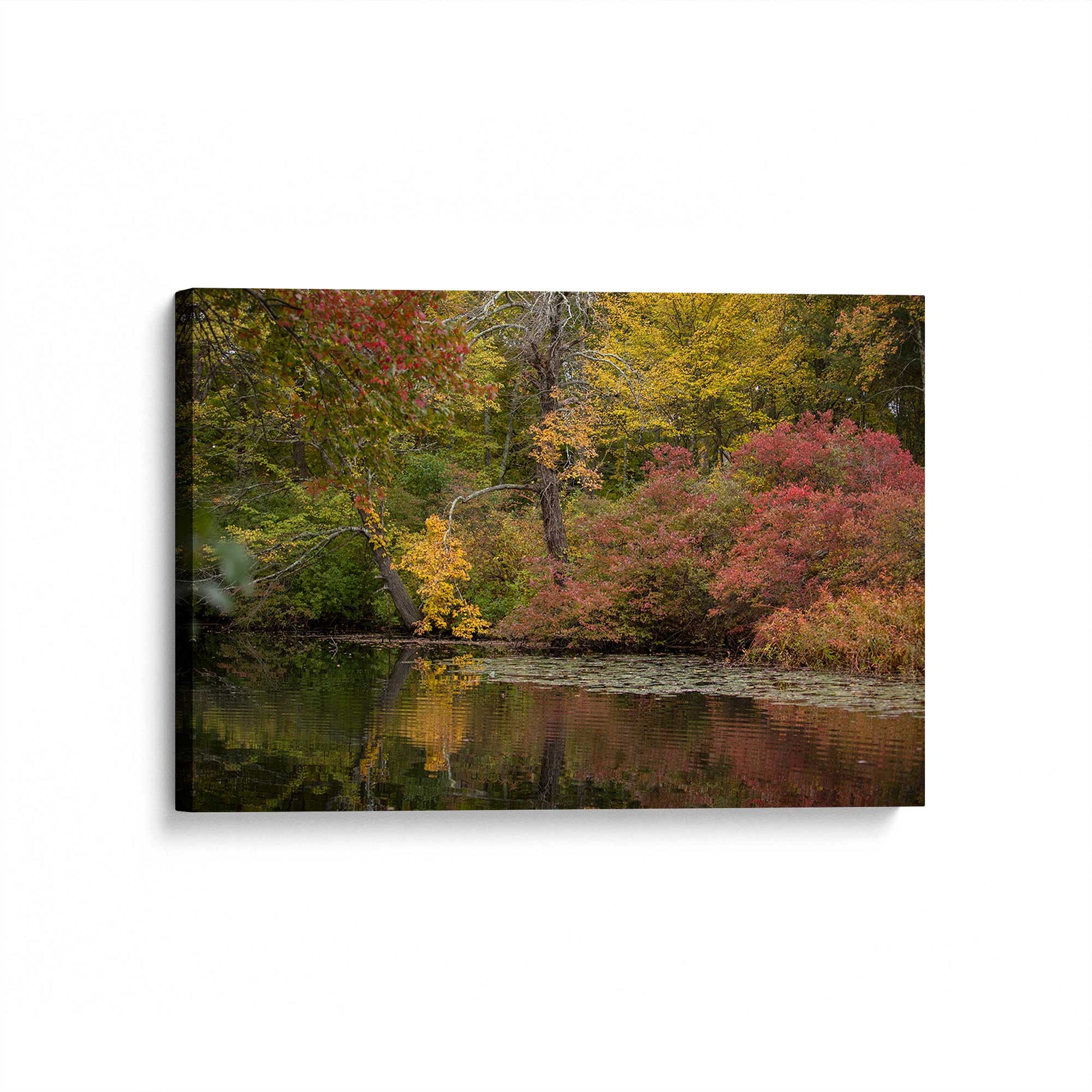 [Color:Stretched Canvas], Picture of art at an angle