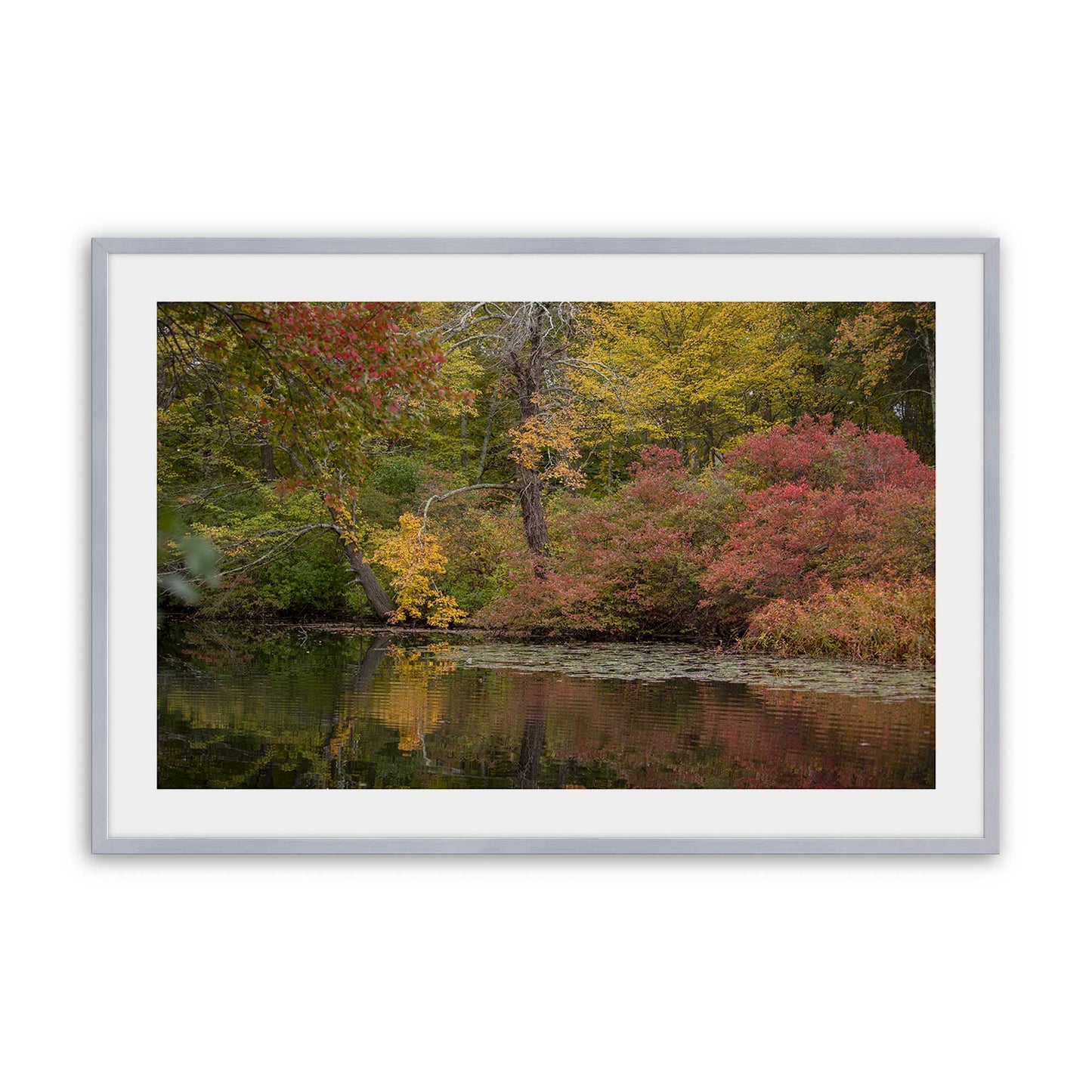 [Color:Polished Chrome], Picture of art in a Polished Chrome frame