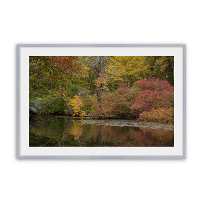 [Color:Polished Chrome], Picture of art in a Polished Chrome frame