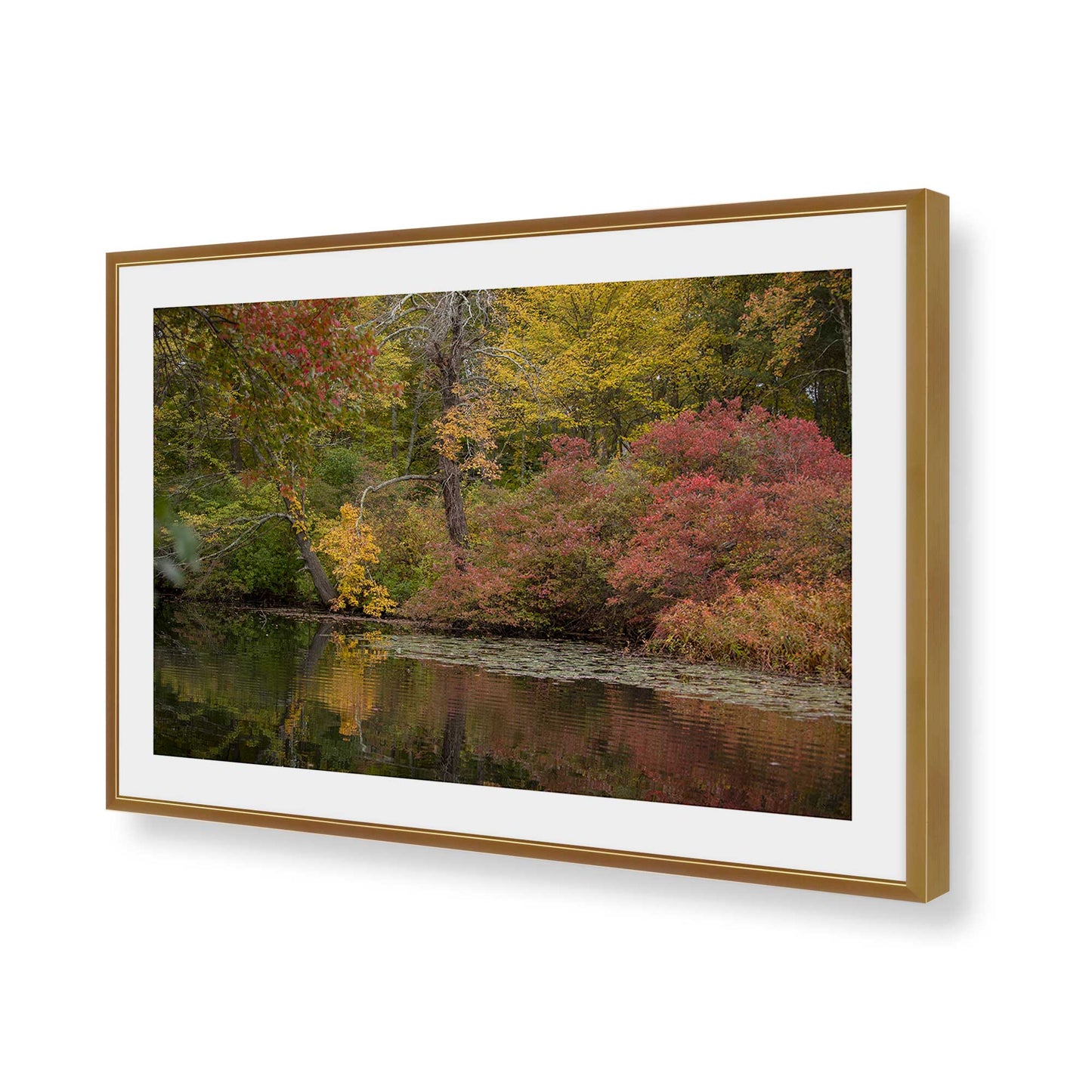 [Color:Polished Gold], Picture of art in a Polished Gold frame of the corner