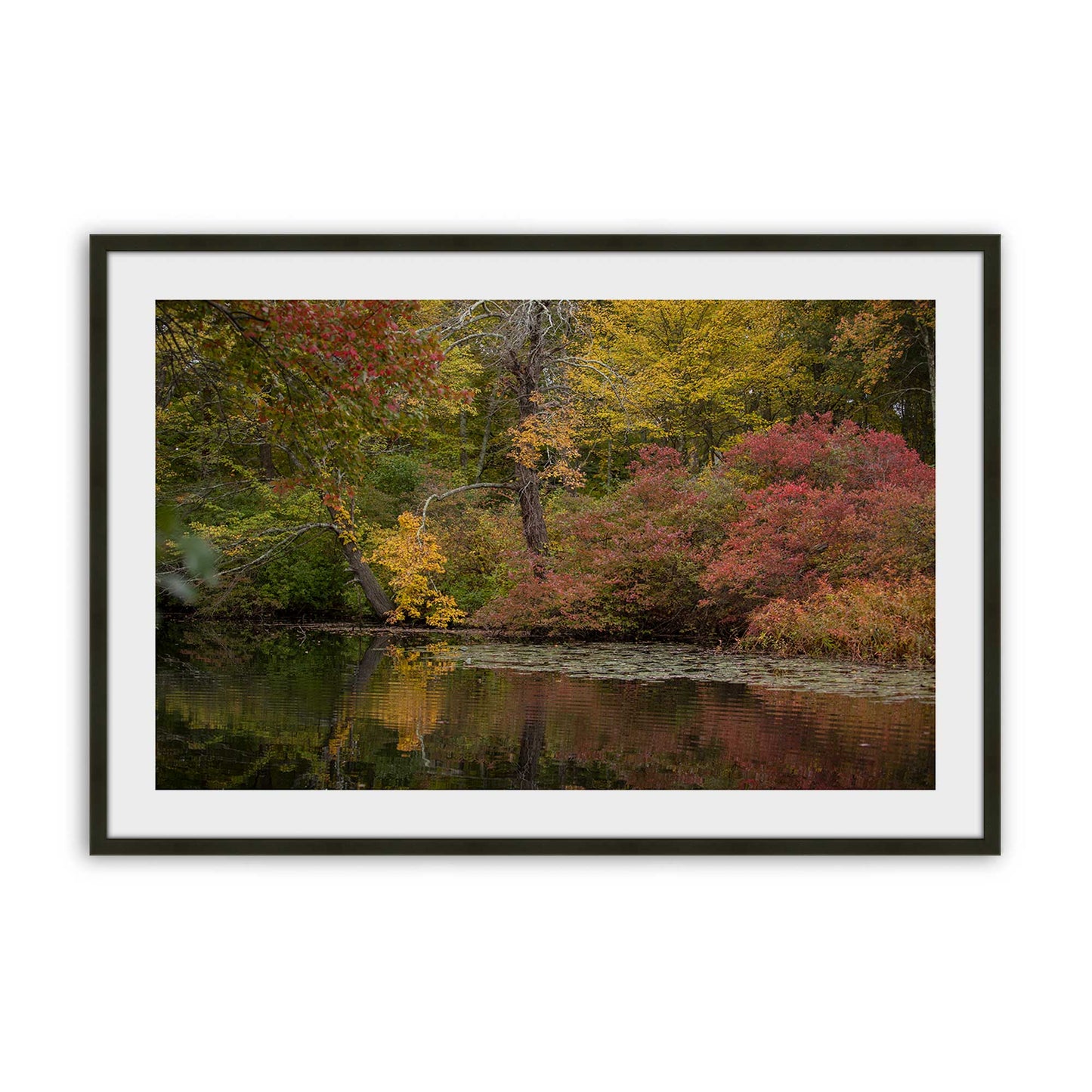[Color:Satin Black], Picture of art in a Satin Black frame