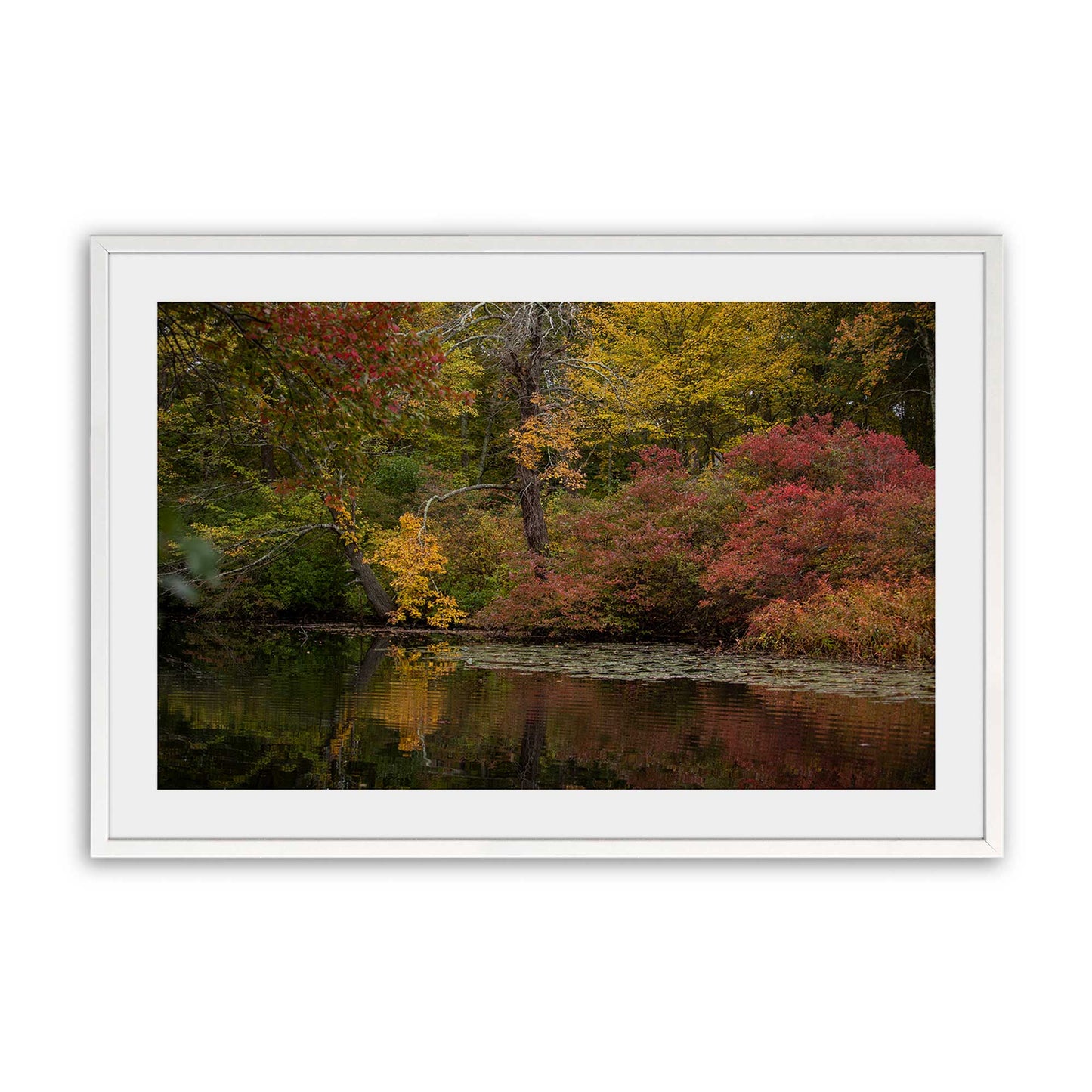 [Color:Opaque White], Picture of art in a Opaque White frame