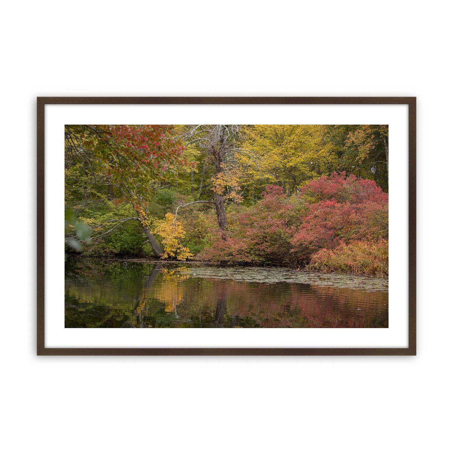 [Color:Belvinder Brown], Picture of art in a Belvinder Brown frame
