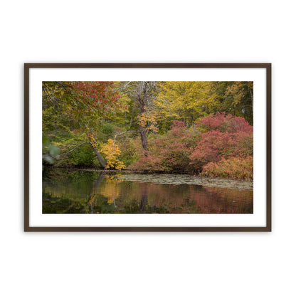 [Color:Brown], Picture of art in a Brown frame