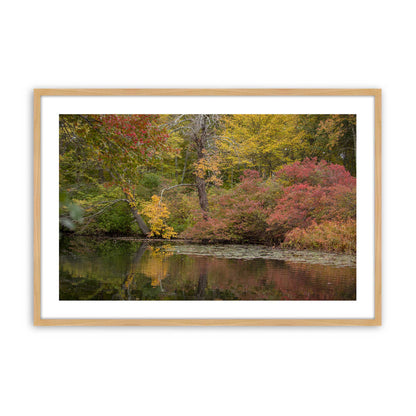 [Color:American Maple], Picture of art in a American Maple frame