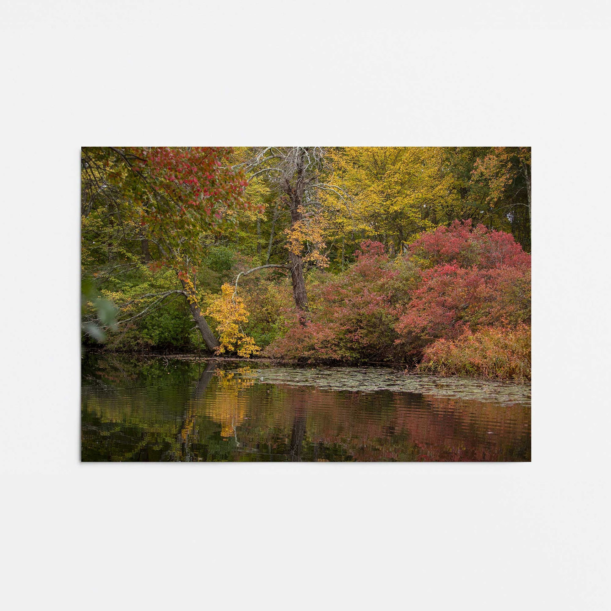 [Color:Rolled Print], Picture of close up of art