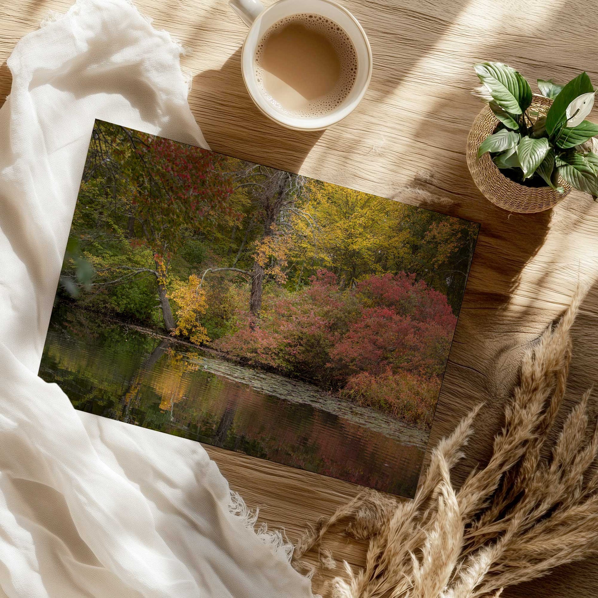 [Color:Rolled Print], Picture of close up of art