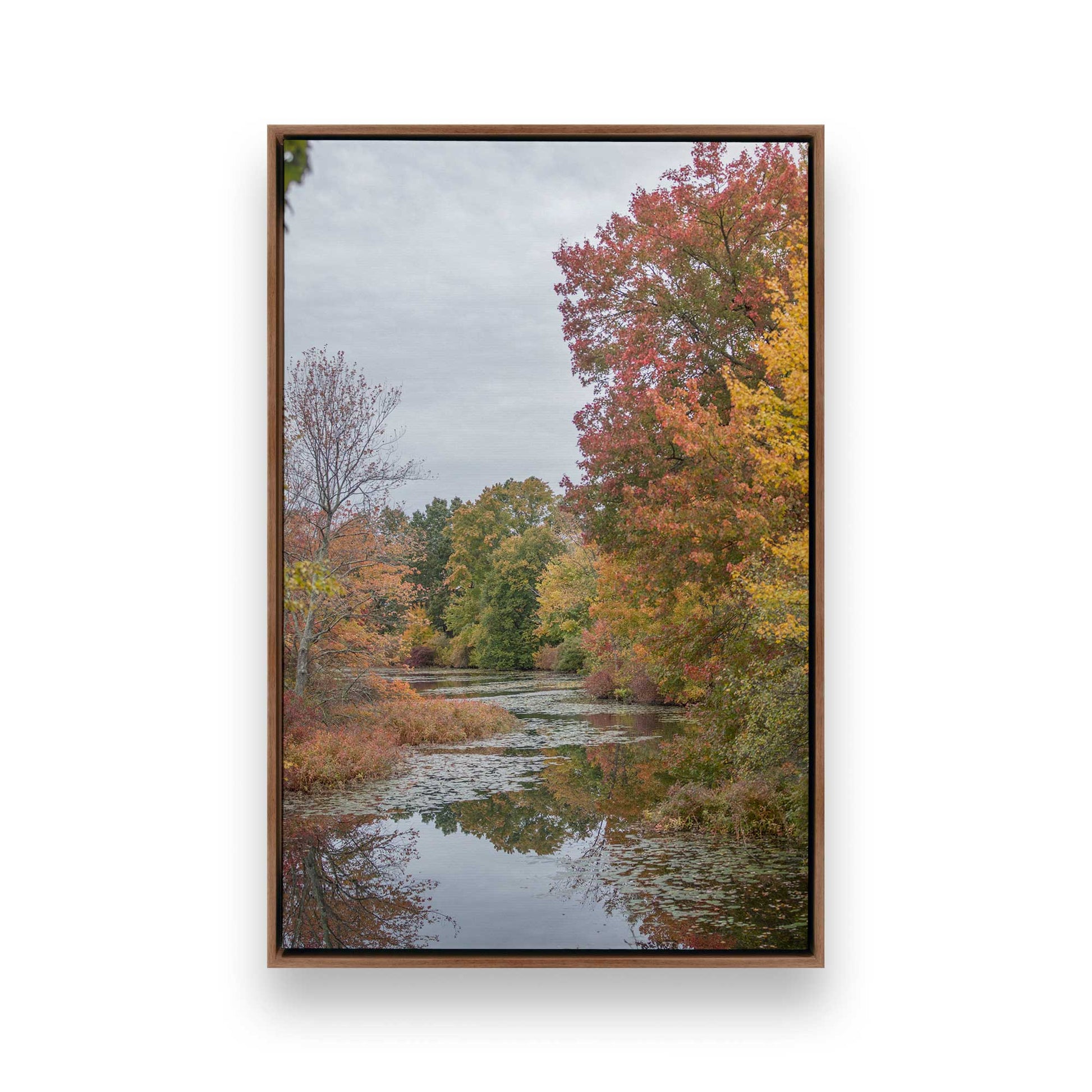 [Color:Walnut], Picture of art in a Walnut frame