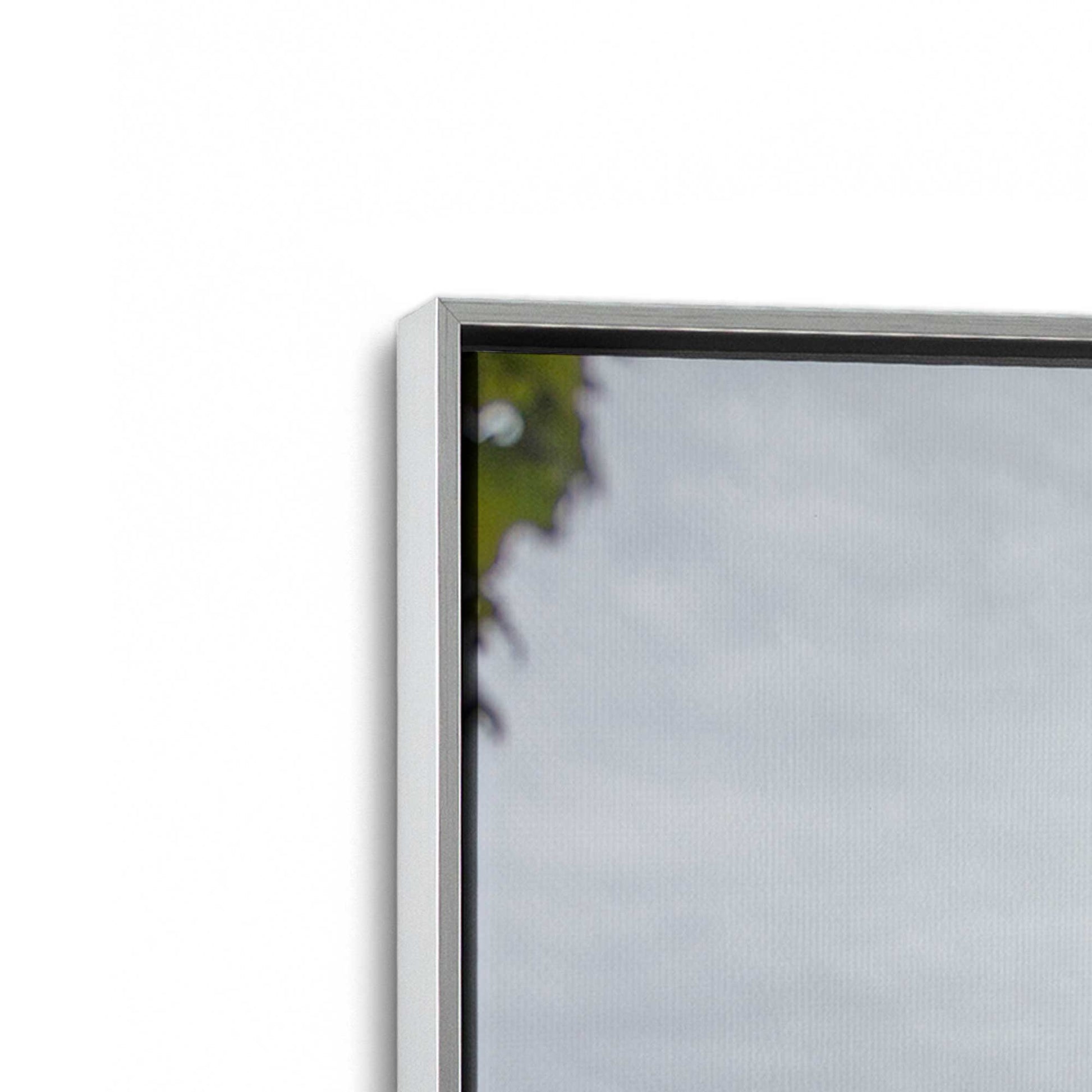 [Color:Polished Chrome], Picture of art in a Polished Chrome frame at an angle