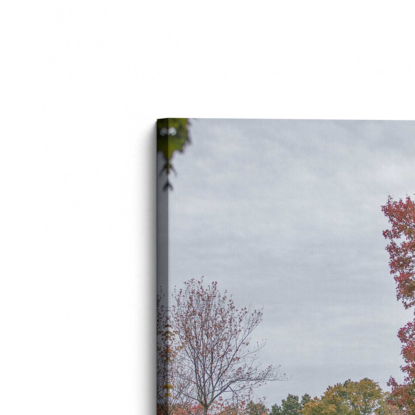 [Color:Stretched Canvas], Picture of the corner of the art