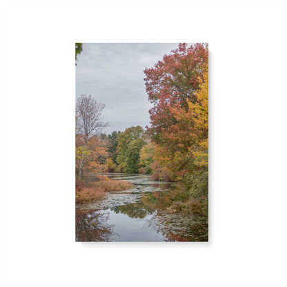 [Color:Stretched Canvas], Picture of art