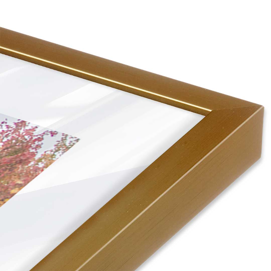 [Color:Polished Gold], Picture of art in a Polished Gold frame at an angle