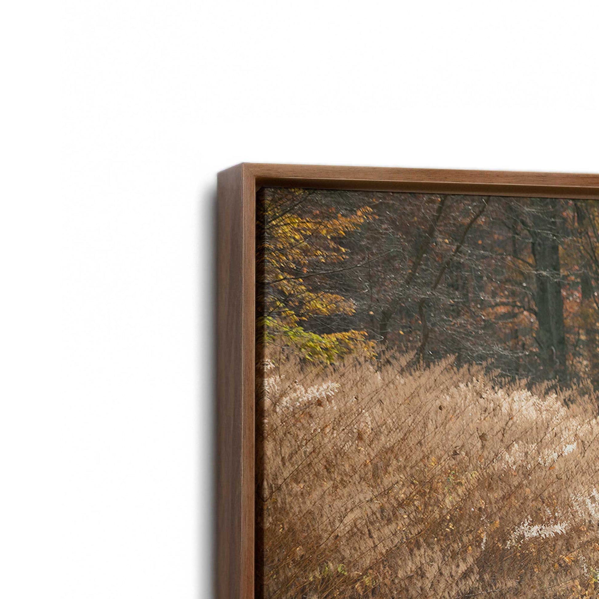 [Color:Walnut], Picture of art in a Walnut frame at an angle