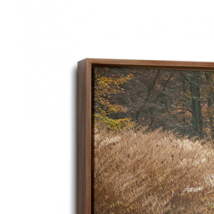 [Color:Walnut], Picture of art in a Walnut frame at an angle