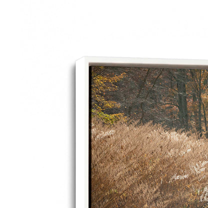 [Color:Opaque White], Picture of art in a White frame at an angle