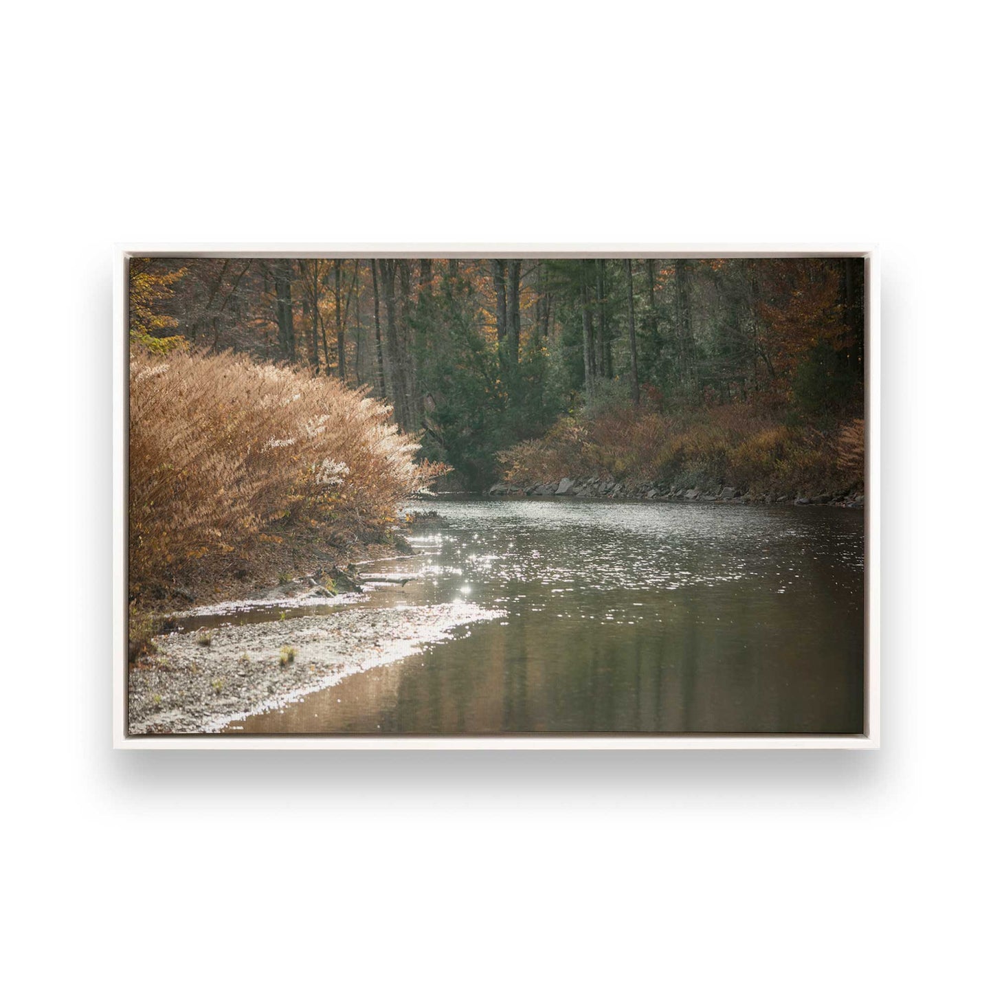 [Color:Opaque White], Picture of art in a White frame