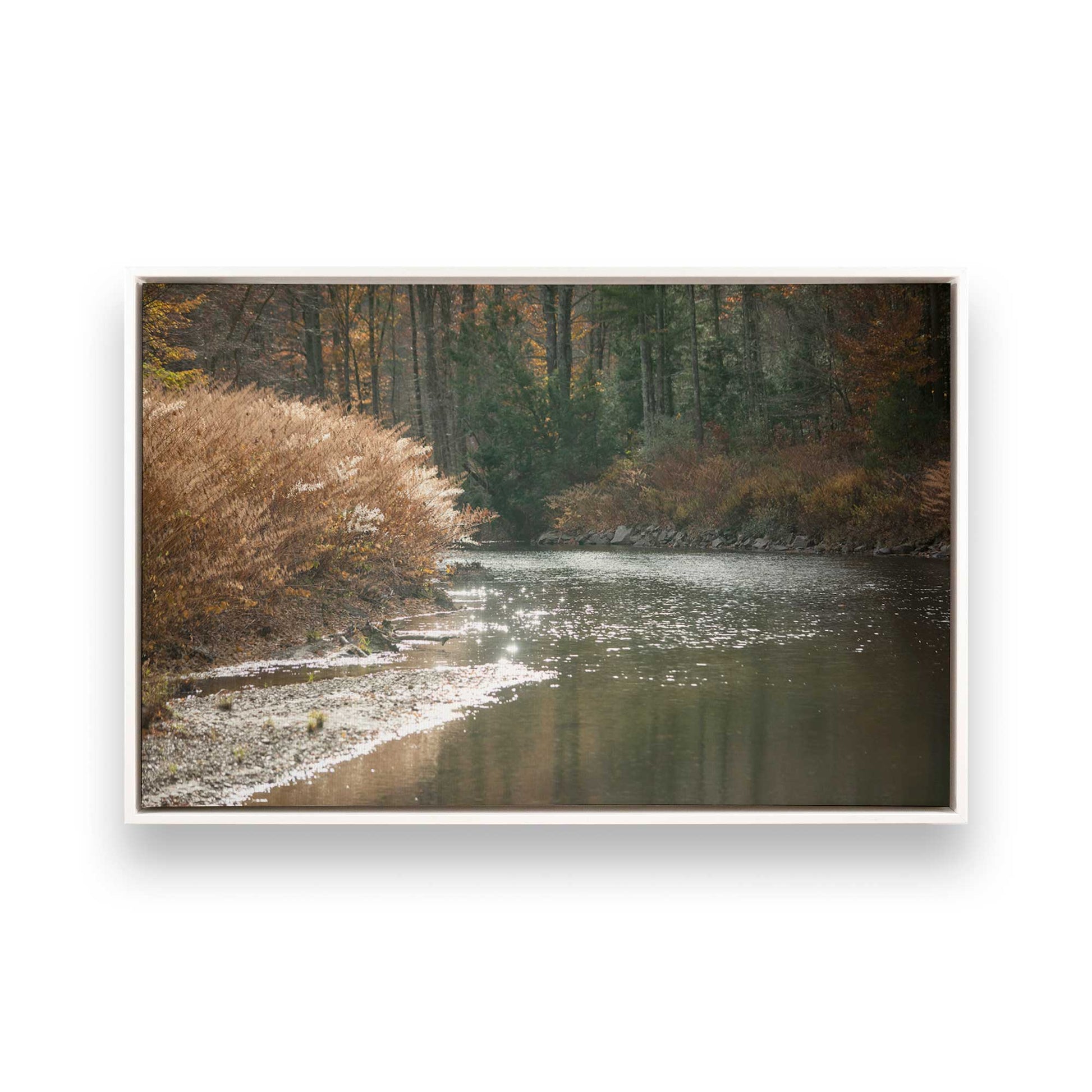 [Color:Opaque White], Picture of art in a White frame