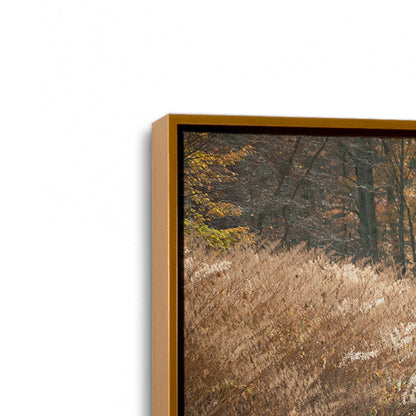 [Color:Polished Gold], Picture of art in a Polished Gold frame at an angle