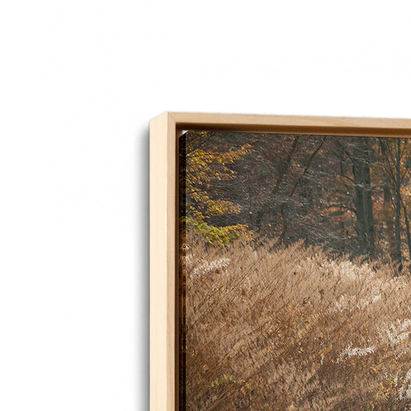 [Color:American Maple], Picture of art in a American Maple frame at an angle