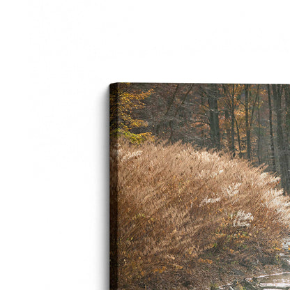 [Color:Stretched Canvas], Picture of the corner of the art