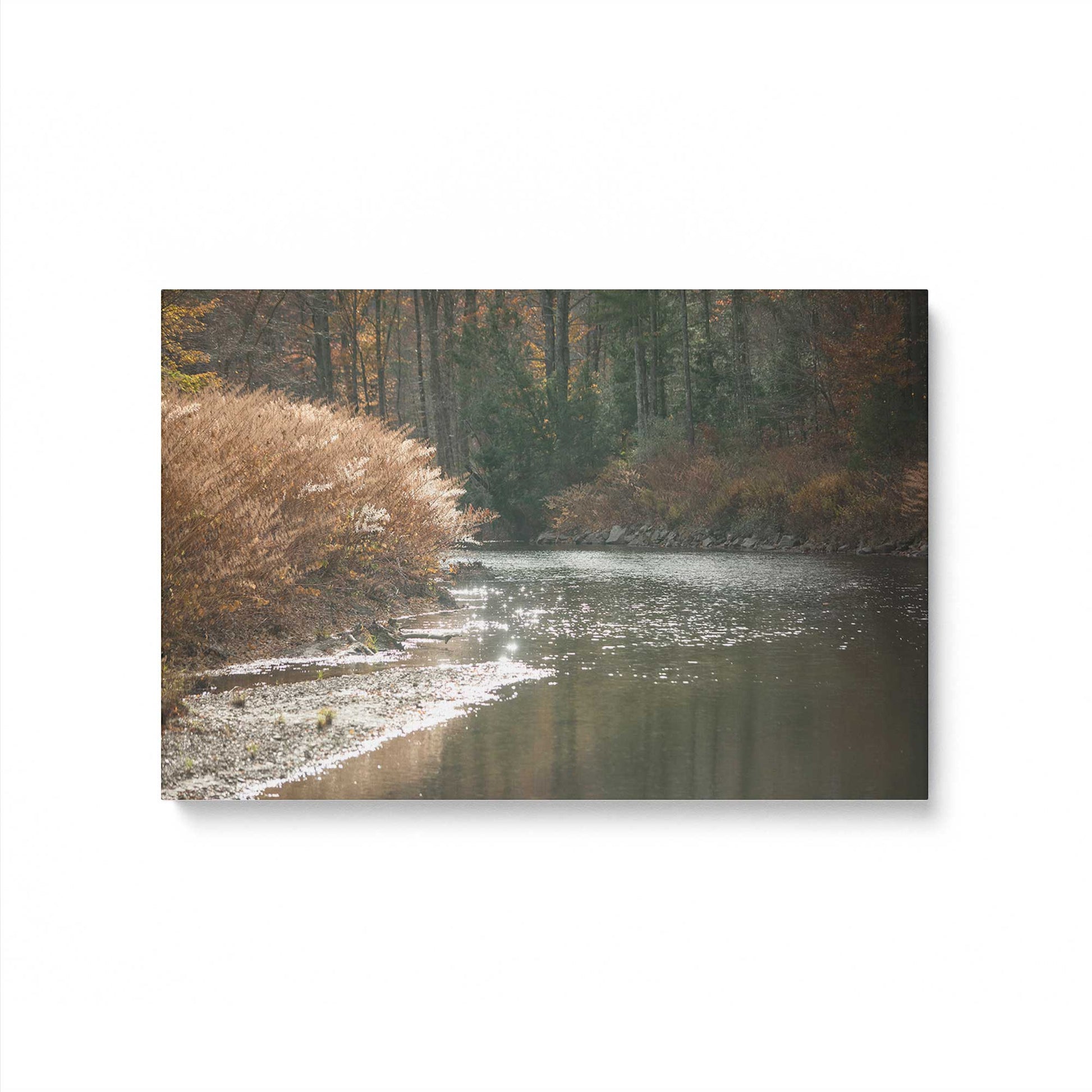 [Color:Stretched Canvas], Picture of art