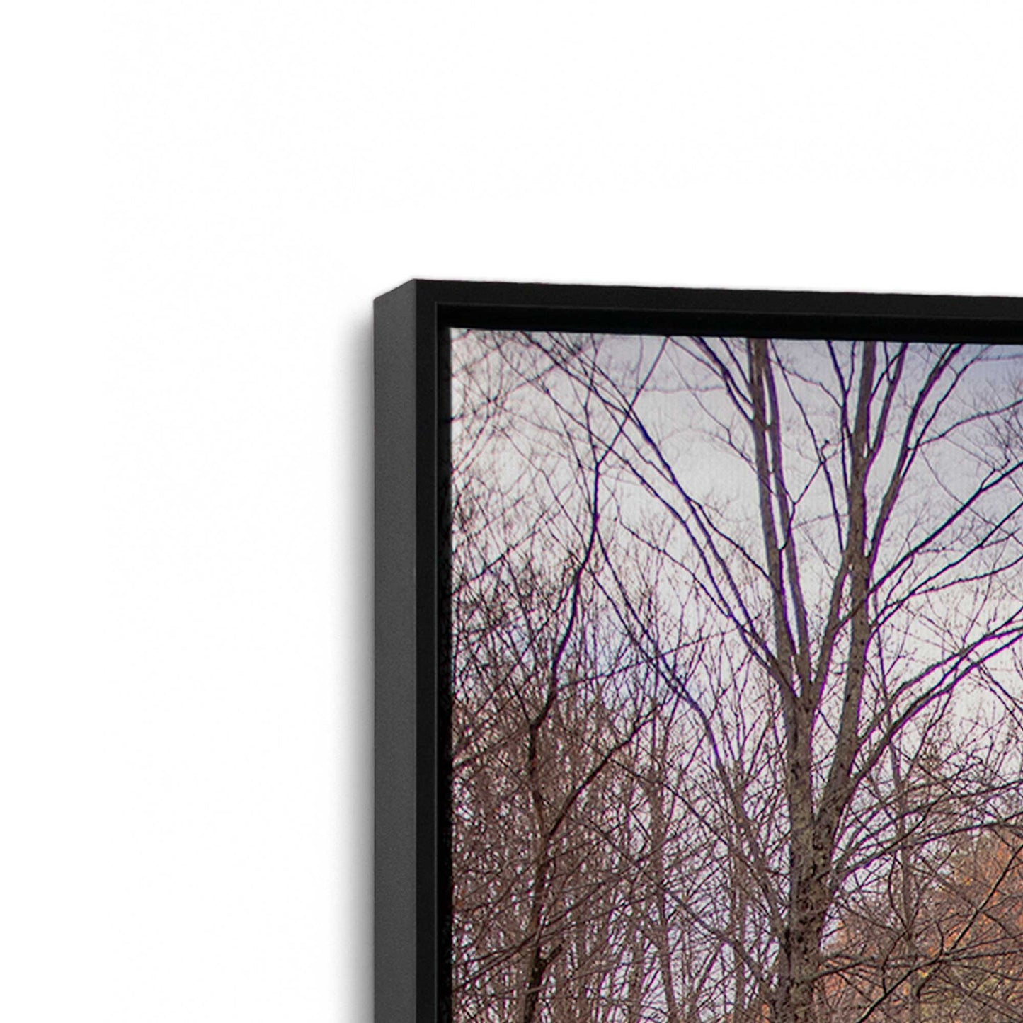 [Color:Satin Black], Picture of art in a Satin Black frame at an angle