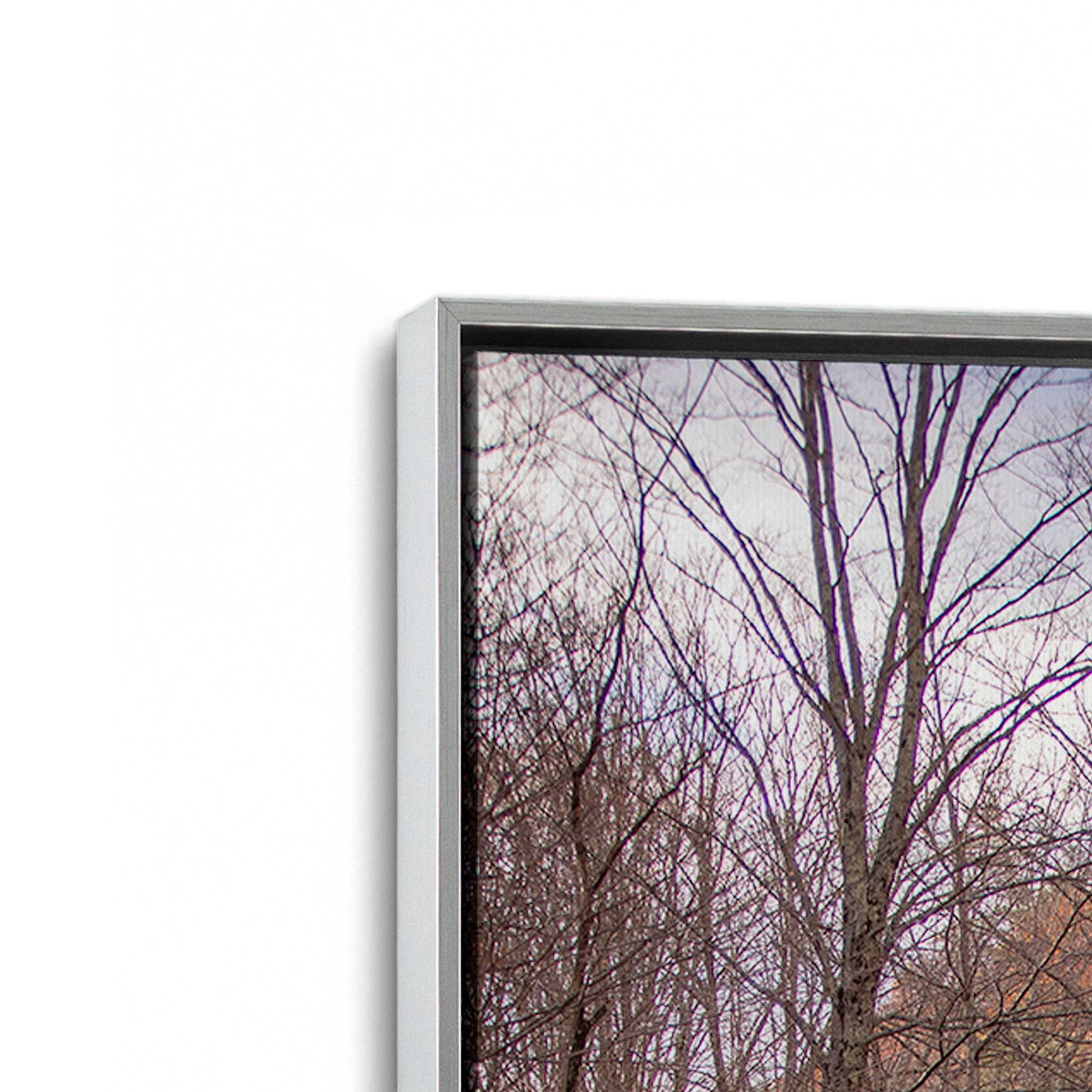 [Color:Polished Chrome], Picture of art in a Polished Chrome frame at an angle