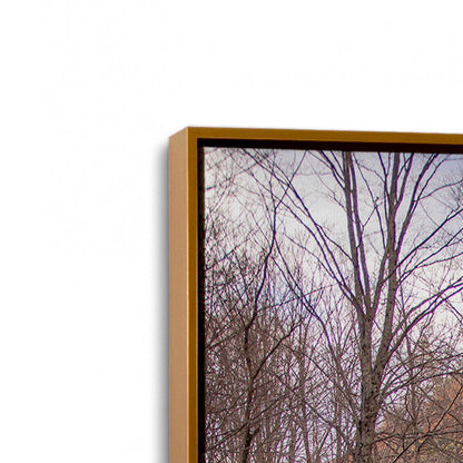 [Color:Polished Gold], Picture of art in a Polished Gold frame at an angle