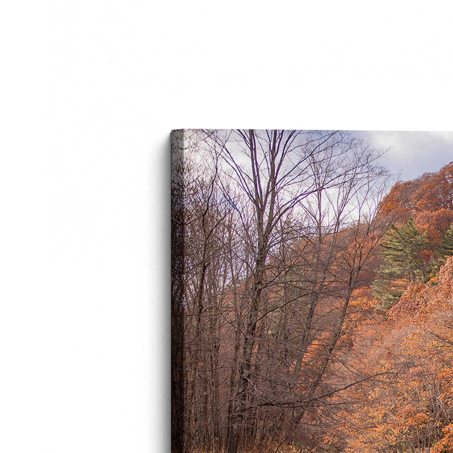 [Color:Stretched Canvas], Picture of the corner of the art