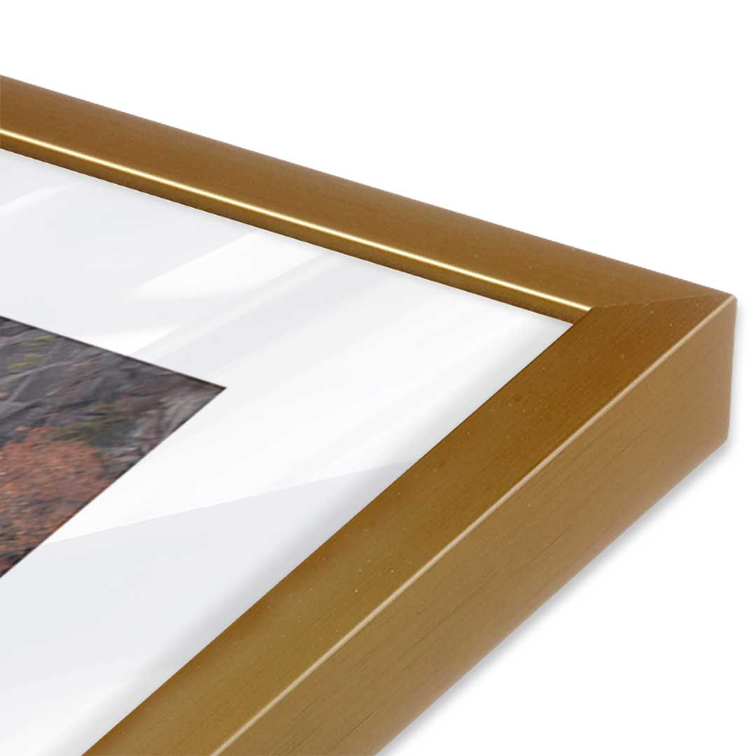[Color:Polished Gold], Picture of art in a Polished Gold frame at an angle
